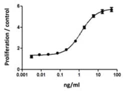 Biolegend Recombinant Human M-CSF (carrier-free), Quantity: Each of 1