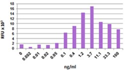 Biolegend Recombinant Mouse CXCL12 (SDF-1α) (carrier-free), Quantity: Each