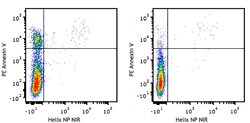 Biolegend PE Annexin V Reactivity: All mammalian species; Apps: FC; Size: