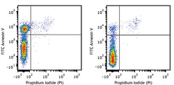 Biolegend FITC Annexin V Apoptosis Detection Kit with PI, Quantity: Each