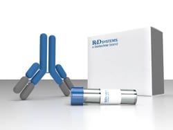 Clontech Labs 3P Recombinant DNase I (RNase-free), 1,000 Units, Quantity: