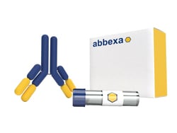 Takara Bio&nbsp;Yatalase&trade; Enzyme, 2g