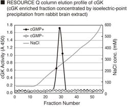 MBL International Corporation CycLex Cyclic GMP dependent protein kinase (cGK) Assay Kit