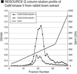 MBL International Corporation CycLex CaM-kinase II assay kit, Quantity: