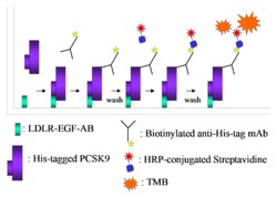 MBL International Corporation CircuLex PCSK9-LDLR in vitro Binding Assay
