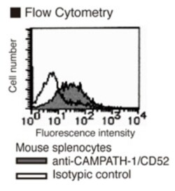 MBL International Corporation Anti-CD52 (CAMPATH-1) (Mouse) mAb (Monoclonal