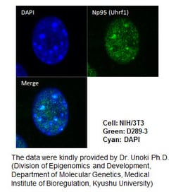 MBL International Corporation Anti-Np95 (Mouse) mAb (Monoclonal Antibody),
