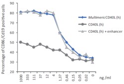 AdipoGen CD40L (human) (multimeric) (rec.), Quantity: Each of 1