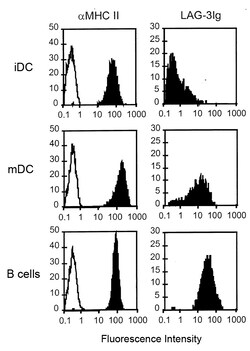 AdipoGen LAG-3 (human):Fc (human) (rec.),Protein., Quantity: Each of 1