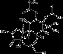 AdipoGen PMA, Chemical. CAS: 16561-29-8;, Quantity: Each of 1