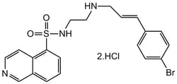 AdipoGen H-89 . dihydrochloride,Chemical. CAS: 130964-39-5, Quantity: Each