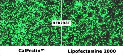 SignaGen Laboratories CALFECTIN DNA REAGENT 1ML