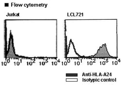MBL International Corporation Anti-HLA-A24 (Human) mAb-FITC (Monoclonal