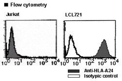 MBL International Corporation Anti-HLA-A24 (Human) mAb-FITC (Monoclonal