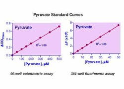 Bioassay Systems EnzyChrom Pyruvate Assay Kit. For quantitative determination