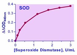 Bioassay Systems EnzyChrom Superoxide Dismutase Assay Kit. For quantitative