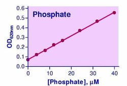 Bioassay Systems Malachite Green Phosphate Assay Kit. For sensitive and
