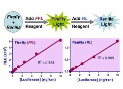 Bioassay Systems SuperLight Dual Luciferase Reporter Gene Assay Kit. Bioluminescent