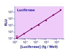 Bioassay Systems SuperLight Luciferase Reporter Gene Assay Kit (1000 tests).