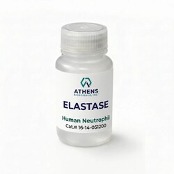 Athens Research And Technology Inc&nbsp;Elastase, Native Human Neutrophils, ≥95% (SDS-PAGE), 1 mg