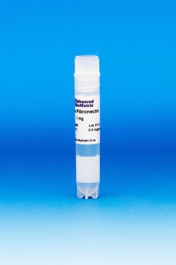 Advanced Biomatrix Fibronectin, Human, 1.0 mg, Quantity: Each of 1