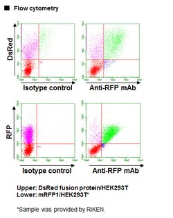 MBL International Corporation Anti-RFP mAb (Monoclonal Antibody), Quantity: