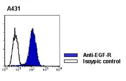 MBL International Corporation Anti-EGF-R (Human) mAb (Monoclonal Antibody),