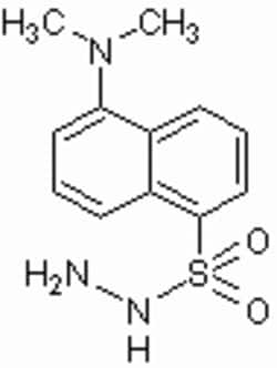 Abcam&nbsp;Dansyl hydrazine, 100MG