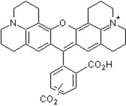 Abcam&nbsp;5(6)-Carbo x y- x -rhodamine, 25MG