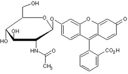 Abcam&nbsp;Fluorescein mono-beta-D-N-acetylglucosamine, 5MG