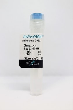 Bio X Cell InVivoMAb Anti-Mouse CD8α, Clone 2.43, Rat IgG2b, Quantity: