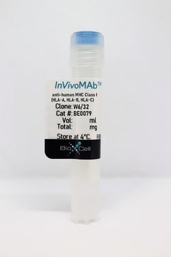 Bio X Cell InVivoMAb Antibody, Human MHC Class I, Clone W6/32, Quantity: