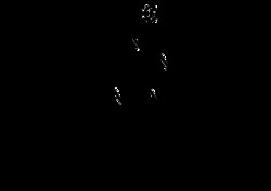 AdipoGen Triphenyltetrazolium chloride, 298-96-4, MFCD00011963, 25 g, Quantity:
