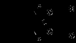 AdipoGen Oxaliplatin, 61825-94-3, MFCD00866327, 5 mg, Quantity: Each of