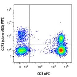 Biolegend FITC anti-human CD73 (Ecto-5'-nucleotidase), Quantity: Each of