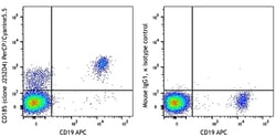 Biolegend PerCP/Cyanine5.5 anti-human CD185 (CXCR5), Quantity: Each of