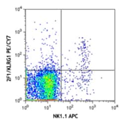 Biolegend PE/Cyanine7 anti-mouse/human KLRG1 (MAFA), Quantity: Each of