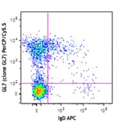 Biolegend PerCP/Cyanine5.5 anti-MU/HU GL7 Antigen (T/B Cell Act. Marker),