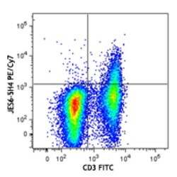 Biolegend PE/Cyanine7 anti-mouse IL-2, Quantity: Each of 1