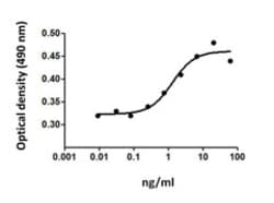 Biolegend Recombinant Mouse Erythropoietin (EPO) (carrier-free), Quantity: