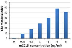 Biolegend Recombinant Mouse CCL5 (RANTES) (carrier-free), Quantity: Each