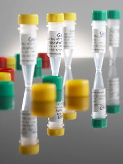 Discovery Life Sciences ULTRAPOOLTM HLM 150 MIX GENPOO