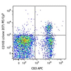 Biolegend PE/Cyanine7 anti-mouse CD103, Quantity: Each of 1