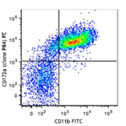 Biolegend PE anti-mouse CD172a (SIRPα), Quantity: Each of 1