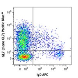 Biolegend Pacific Blue anti-MU/HU GL7 Antigen (T/B Cell Act. Marker), Quantity: