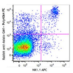 Biolegend PE Donkey anti-rabbit IgG (min. x-reactivity), Quantity: Each