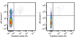 Biolegend APC Annexin V Apoptosis Detection Kit with PI, Quantity: Each