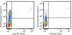 Biolegend PerCP/Cyanine5.5 Annexin V