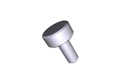 Waters Corp&nbsp;Screw, Thumb, M5 x 11, SS
