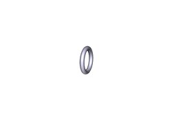 Waters Corp O-Ring, AS011, 5/pk, Quantity: Each of 1